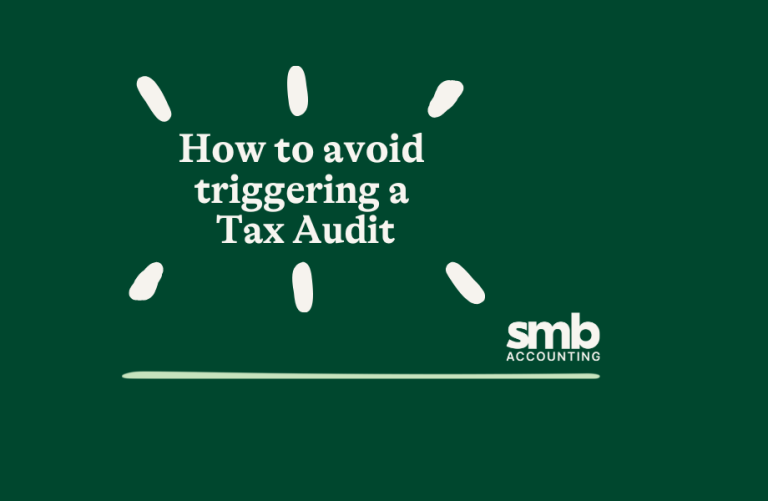 Read more about the article 5 Ways to Avoid Triggering Small Business Tax Audit