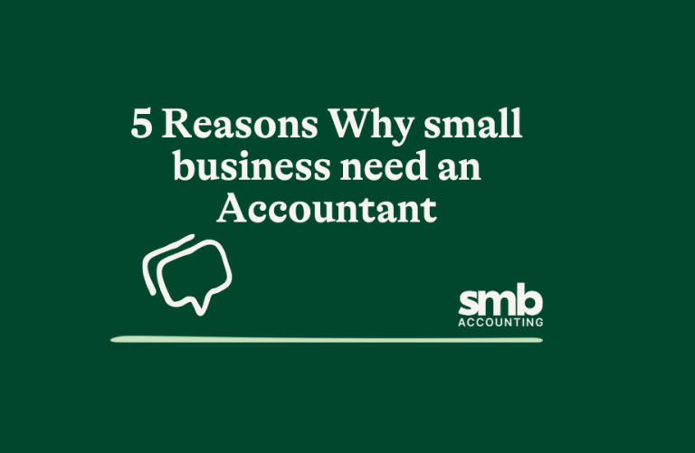 Read more about the article 5 Reasons Why Small Businesses Need an Accounting Firm