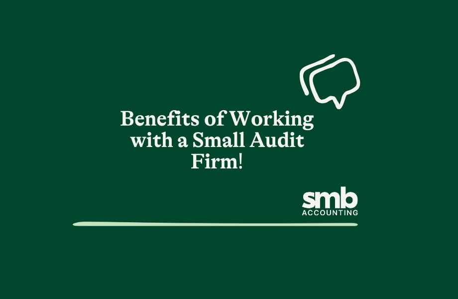 Read more about the article Benefits of Working with a Small Audit Firm for Your Business