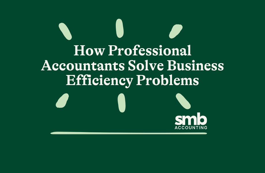 You are currently viewing How Professional Accountants Solve Business Efficiency Problems