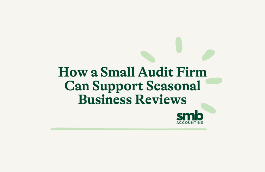 Read more about the article How a Small Audit Firm Can Support Seasonal Business Reviews